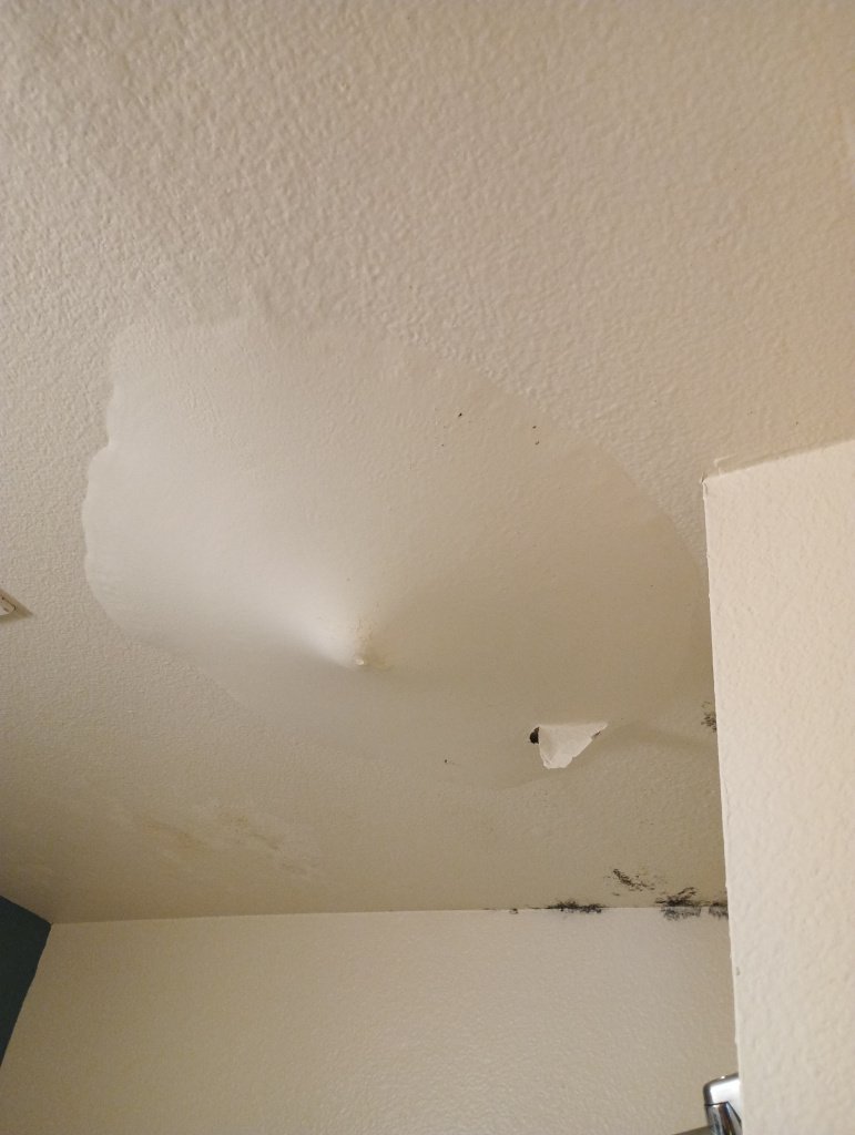drywall ceiling with water leaks drywall ceiling with water leaks