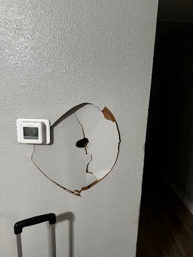 Photo from customer review